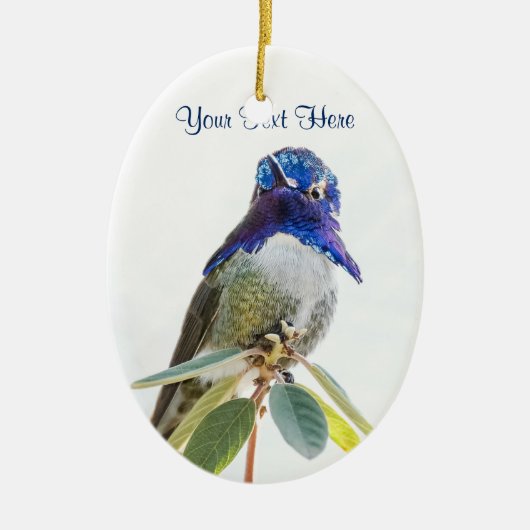 Ornament: Costa's Hummingbird (Oval) Keramisch Ornament (Voorkant)