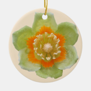 Ornament - de Tulp van de Populier van de Tulp op