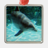 Ornament dolfijn (Voorkant)