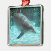 Ornament dolfijn (Links)