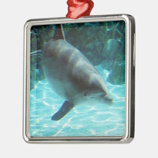 Ornament dolfijn (Links)