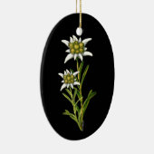  ornament Edelweiss (Rechts)