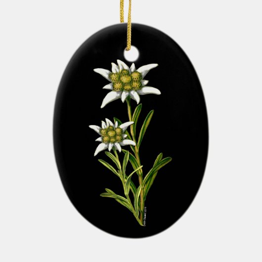  ornament Edelweiss (Achterkant)