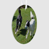 ornament - Grenshandlangwerpige afspeelbak (voorkant)