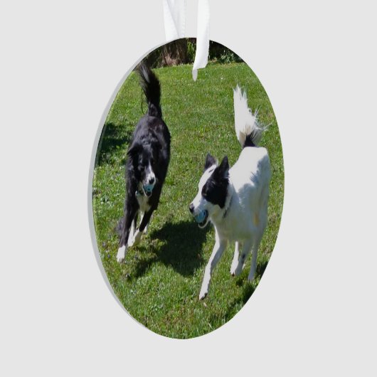 ornament - Grenshandlangwerpige afspeelbak (voorkant)