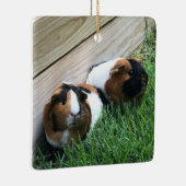 Ornament - Guinese varkens (Rechts)