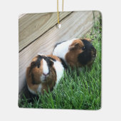 Ornament - Guinese varkens (Links)