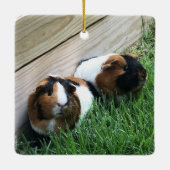 Ornament - Guinese varkens (Achterkant)