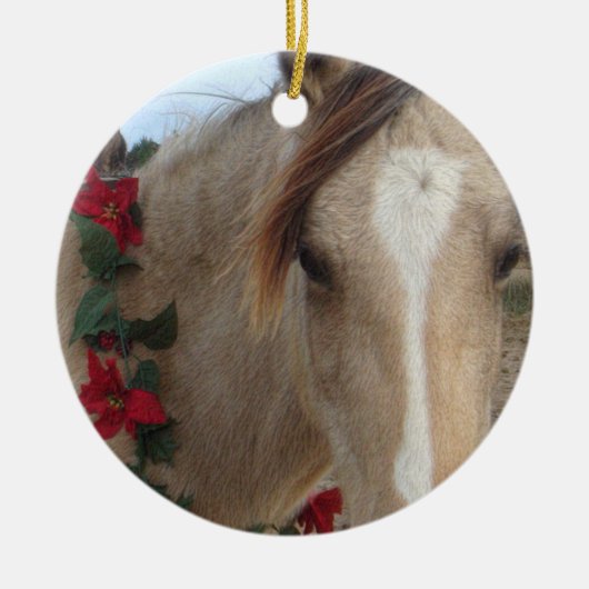 Ornament - Holiday Horse (Voorkant)