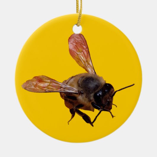 Ornament - Honeybee (Voorkant)