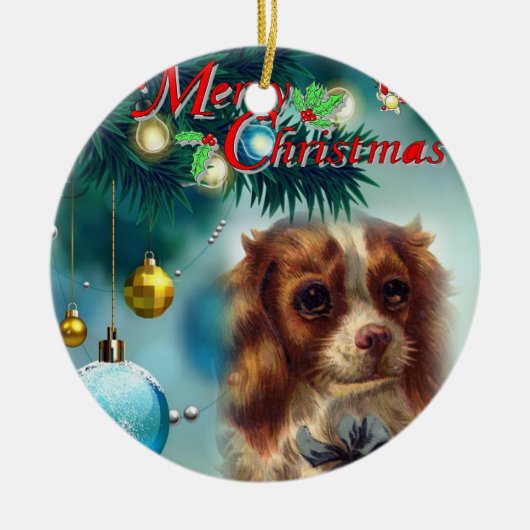 Ornament kerstcirkel, vrolijk kerstfeest (Voorkant)