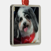 Ornament, Kerstmis, Dog K-Cee Red Metalen Ornament (Rechts)