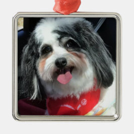 Ornament, Kerstmis, Dog K-Cee Red Metalen Ornament