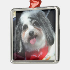 Ornament, Kerstmis, Dog K-Cee Red Metalen Ornament
