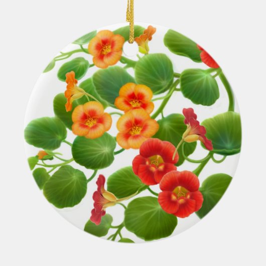 Ornament kleurrijke Nasturtium Flowers (Achterkant)