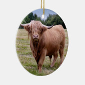 Ornament Koe (Rechts)