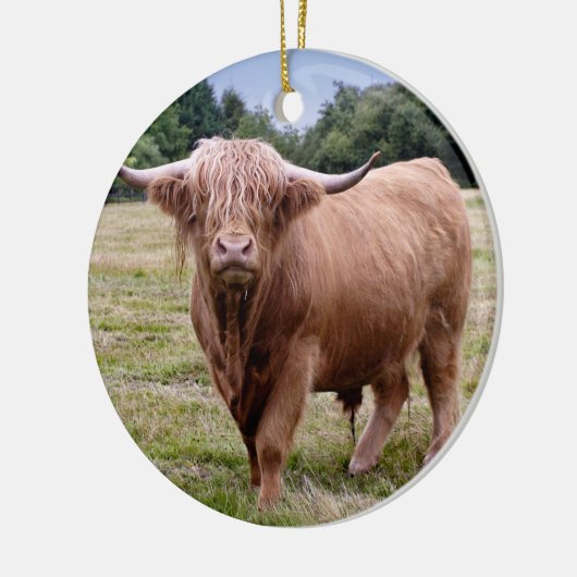 Ornament Koe (Links)