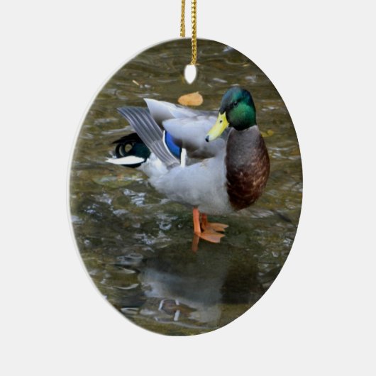 Ornament Mallard Duck (Creek) (Rechts)