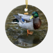 Ornament Mallard Duck (Creek) (Voorkant)