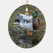 Ornament Mallard Duck (Creek) (Links)