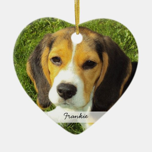 Ornament met dubbele Afbeeldingen kerstbomen (Voorkant)