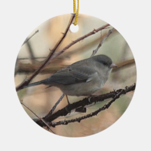 Ornament met Junco (Voorkant)