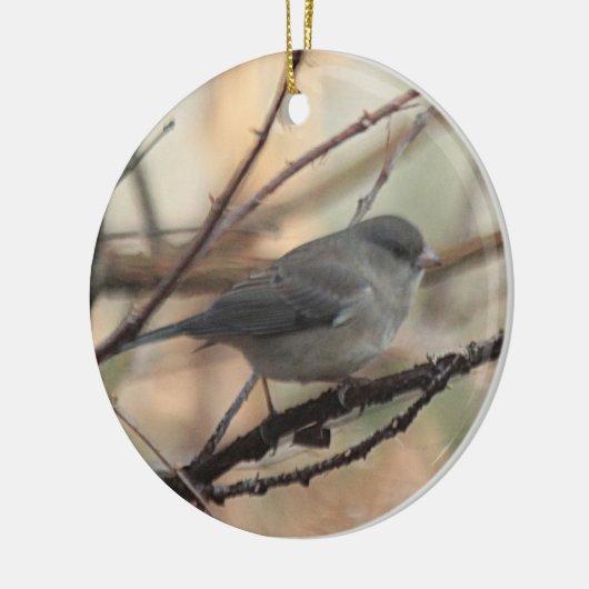 Ornament met Junco (Links)