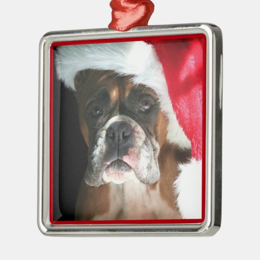 Ornament met kerstbokshond (Links)