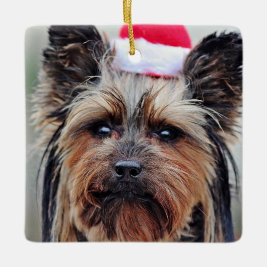 Ornament met kerstfeestdag (Voorkant)