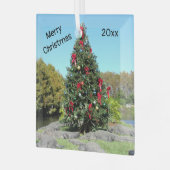 Ornament met Kerstglas uit Florida Alligator (Voorkant links)