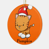 Ornament met kerstKat "pompoen" (Links)