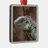 Ornament met kleurrijke Iguana hagedis (Rechts)