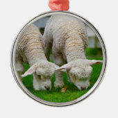 Ornament met twee lammeren (Voorkant)