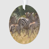 ornament met zebra-acrylcirkel (voorkant)