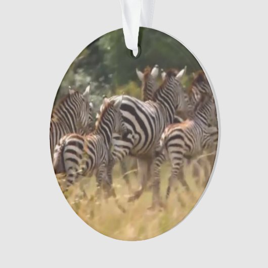 ornament met zebra-acrylcirkel (voorkant)