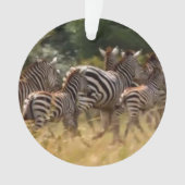 ornament met zebra-acrylcirkel (voorkant)