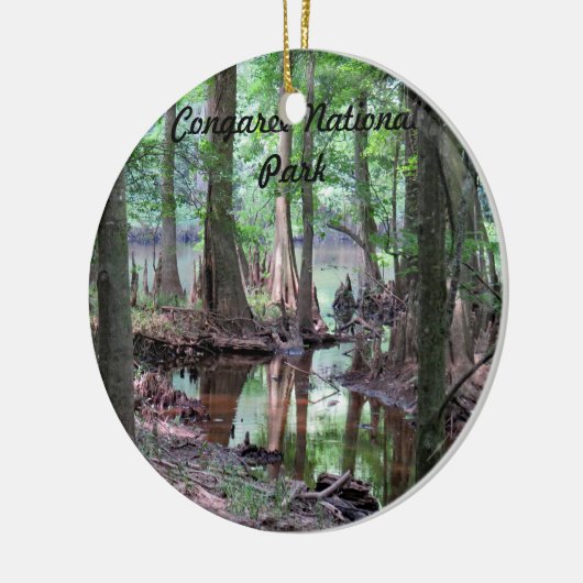 Ornament Nationaal Park Congaree (Links)