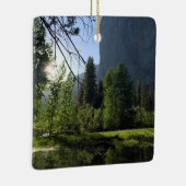 Ornament Nationaal Park Yosemite (Rechts)