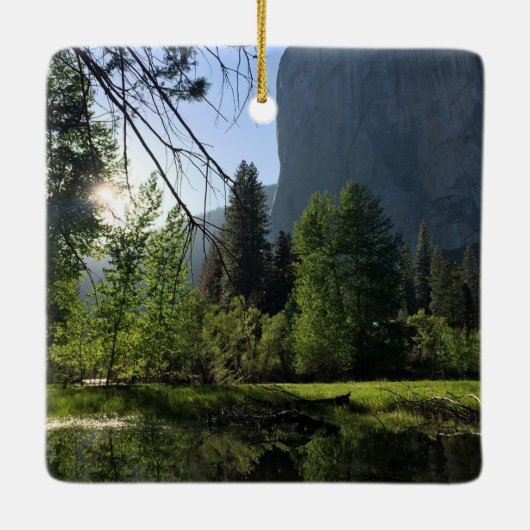 Ornament Nationaal Park Yosemite (Achterkant)