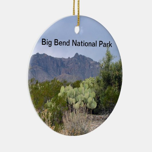 Ornament National Park Big Bend (Rechts)