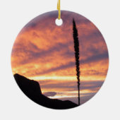 Ornament National Park Big Bend (Achterkant)