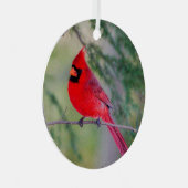 Ornament Noord-Kardinaal (Voorkant Rechts)