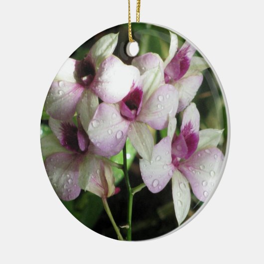 Ornament Orchideeën (Links)