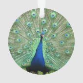 Ornament - Peackock (achterkant)