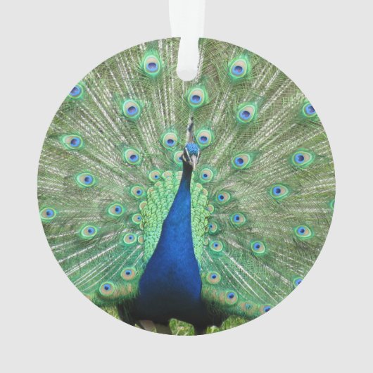 Ornament - Peackock (achterkant)