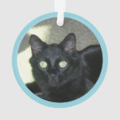 Ornament - Polydactyl Paw Prints and Photo (achterkant)