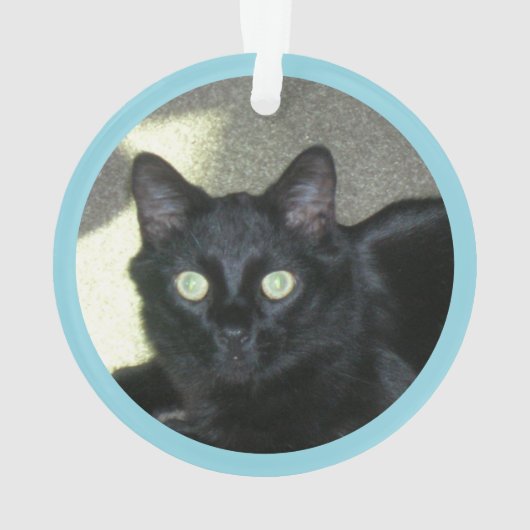 Ornament - Polydactyl Paw Prints and Photo (achterkant)