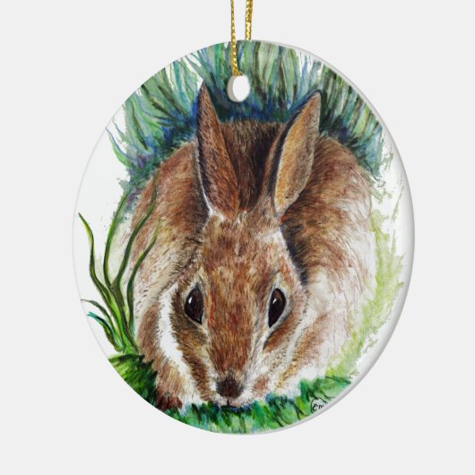 Ornament Rabbit Hiding in Grass, Waterverf Potlood (Links)
