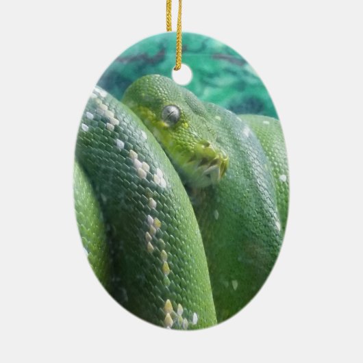 Ornament regenwoudslang (Achterkant)