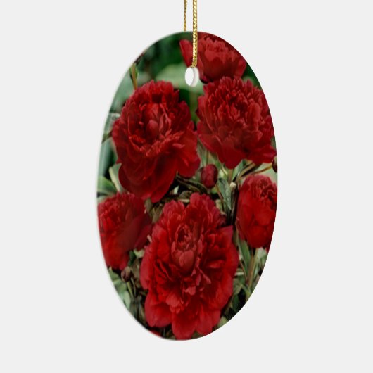 Ornament Rode anjerbloemen (Rechts)